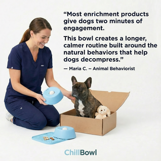 Anti-Anxiety Slow-Feeding Dog Bowl