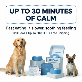 Anti-Anxiety Slow-Feeding Dog Bowl