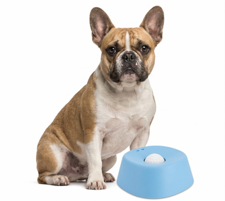 Anti-Anxiety Slow-Feeding Dog Bowl
