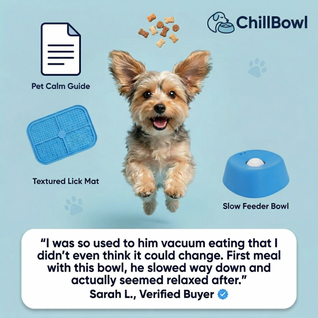 Anti-Anxiety Slow-Feeding Dog Bowl